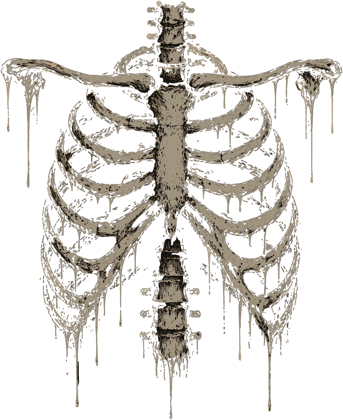 Melting skeleton ribcage and spine with dripping effect in bone and brown tones