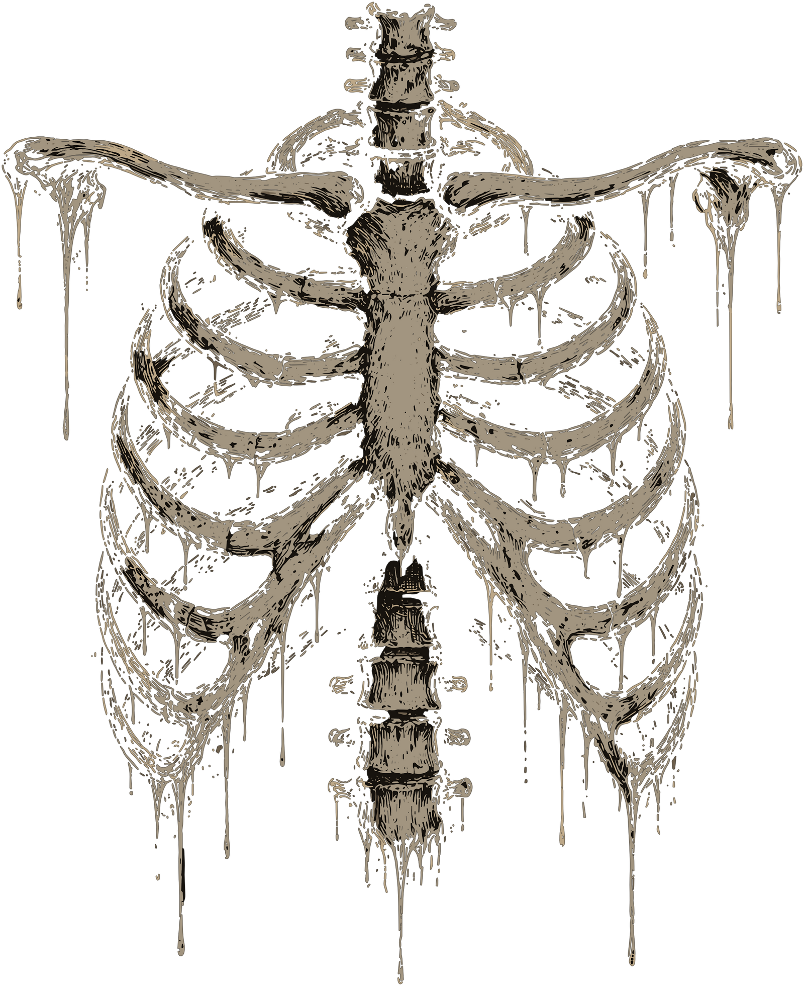 Melting skeleton ribcage and spine with dripping effect in bone and brown tones